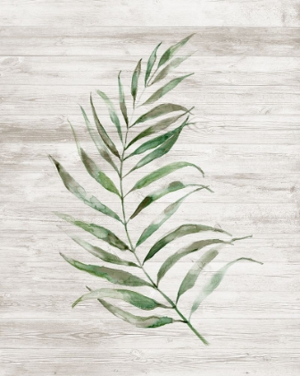 Picture of TROPIC FROND I
