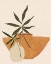Picture of SANTA FE STILL LIFE II