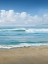 Picture of TIMELESS WAVES