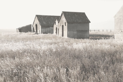 Picture of NEUTRAL BARN