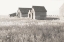 Picture of NEUTRAL BARN