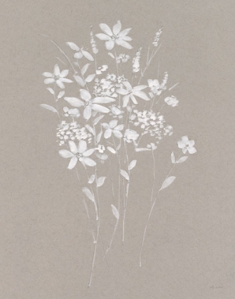 Picture of DELICATE BOTANICALS II