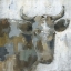 Picture of CALICO COW