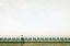 Picture of BEACH SOLITAIRE