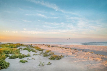 Picture of MORNING BEACH