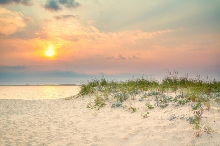 Picture of MORNING BEACH 2