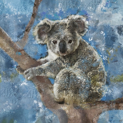 Picture of KOALA I