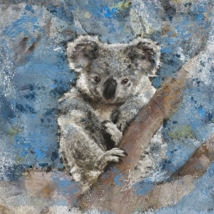 Picture of KOALA II