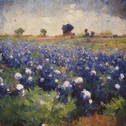 Picture of TEXAS-BLUEBONNETS I