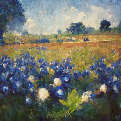 Picture of TEXAS-BLUEBONNETS II