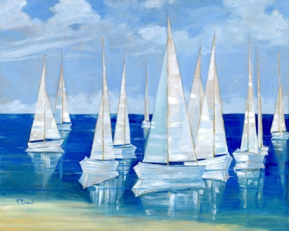 Picture of BLANCO BEACH SAILBOATS