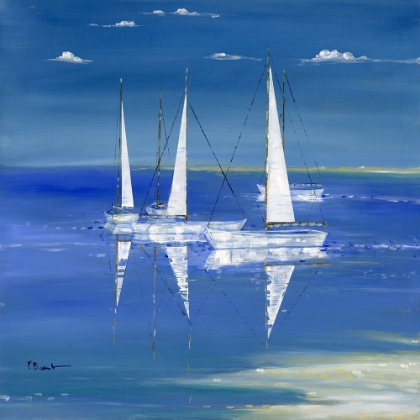 Picture of SERENITY SAILBOATS