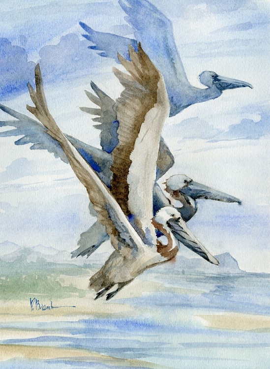 Picture of PELICANS ALOFT