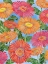 Picture of GERBER DAISY CASCADE