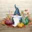 Picture of AUTUMN GNOME IV