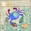 Picture of SEAGROVE CRAB I