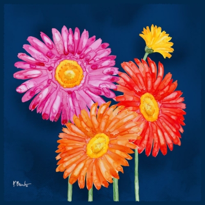 Picture of HELENA DAISIES I