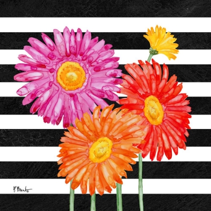 Picture of HELENA DAISIES I - STRIPES