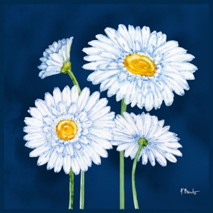 Picture of HELENA DAISIES II