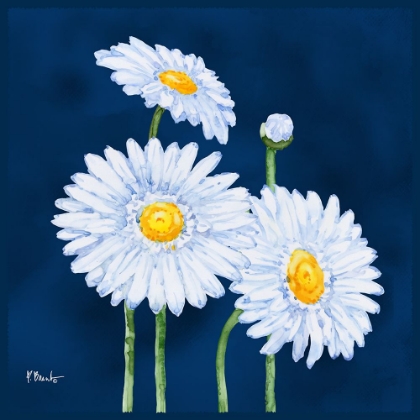 Picture of HELENA DAISIES III