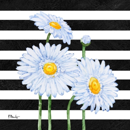 Picture of HELENA DAISIES III - STRIPES