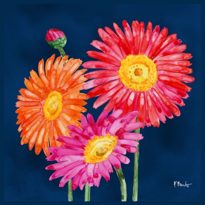 Picture of HELENA DAISIES IV