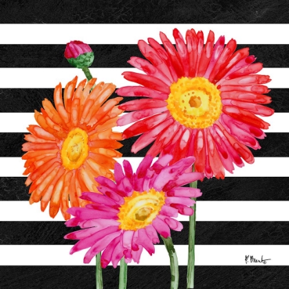 Picture of HELENA DAISIES IV - STRIPES