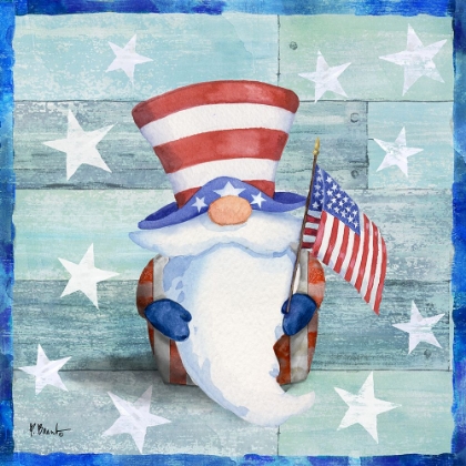 Picture of FREEDOM GNOME I