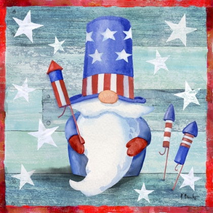 Picture of FREEDOM GNOME IV