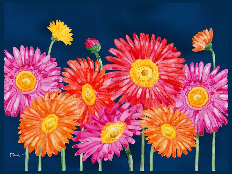 Picture of HELENA DAISIES HORIZONTAL I