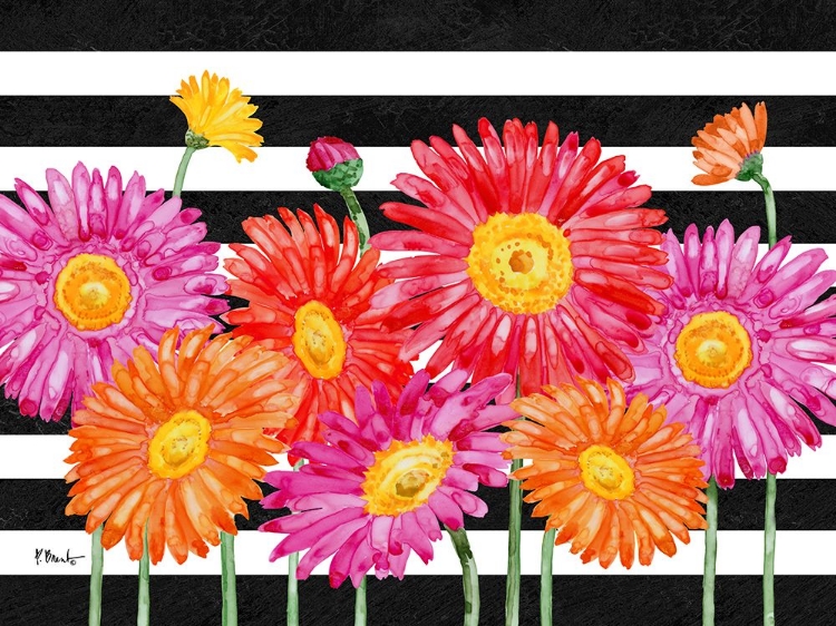 Picture of HELENA DAISIES HORIZONTAL I - STRIPES