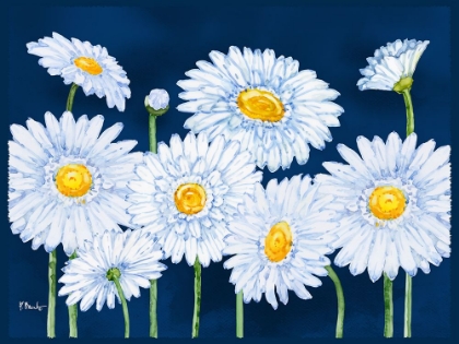 Picture of HELENA DAISIES HORIZONTAL II