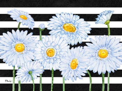 Picture of HELENA DAISIES HORIZONTAL II - STRIPES