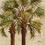 Picture of WOODSIDE PALMS II