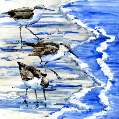 Picture of ROCKHAMPTON SANDPIPERS I