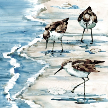 Picture of ROCKHAMPTON SANDPIPERS II - LIGHT