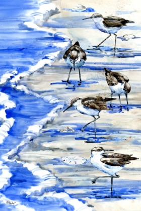 Picture of ROCKHAMPTON SANDPIPERS VERTICAL