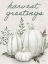 Picture of SAGE HEIRLOOM VERTICAL - CREAM
