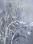 Picture of COOL FLORAL II