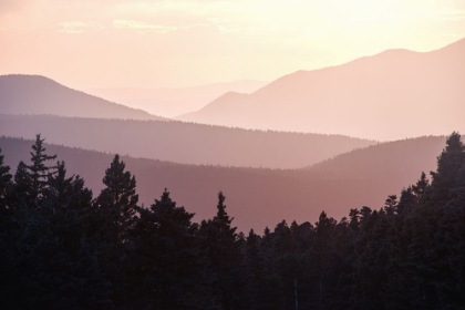 Picture of SUNSET IN THE NEW MEXICO MOUNTAINS