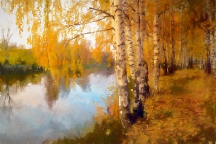 Picture of AUTUMN BIRCH