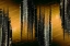 Picture of SUNSET SWIZZLE