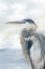 Picture of MORNING HERON