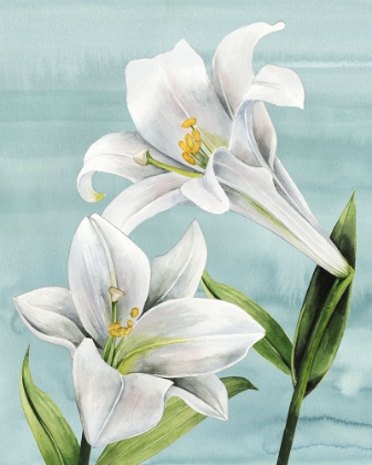 Picture of PEACEFUL LILIES I