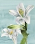 Picture of PEACEFUL LILIES II