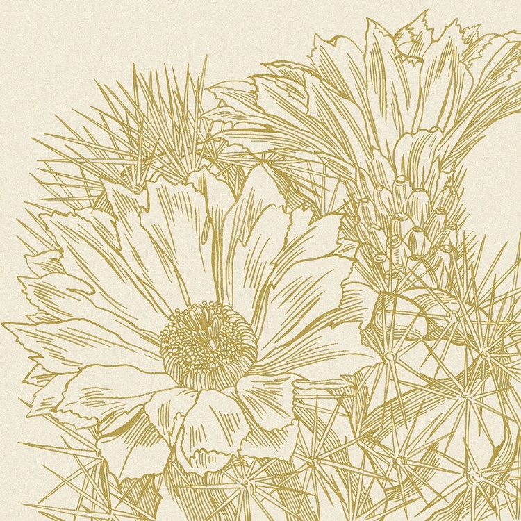 Picture of GRAPHIC CACTUS BLOOM I