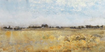 Picture of HARVEST FIELD I