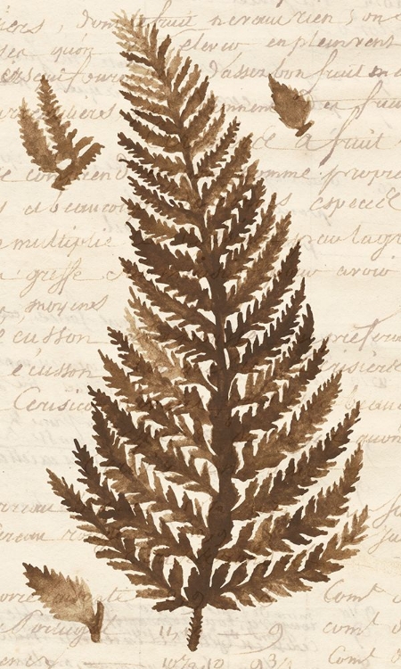 Picture of FERNS AND LEDGERS II