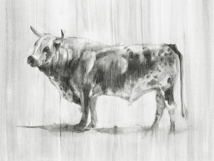 Picture of RUSTIC BOVINE II