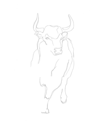 Picture of BULL CONTOUR I